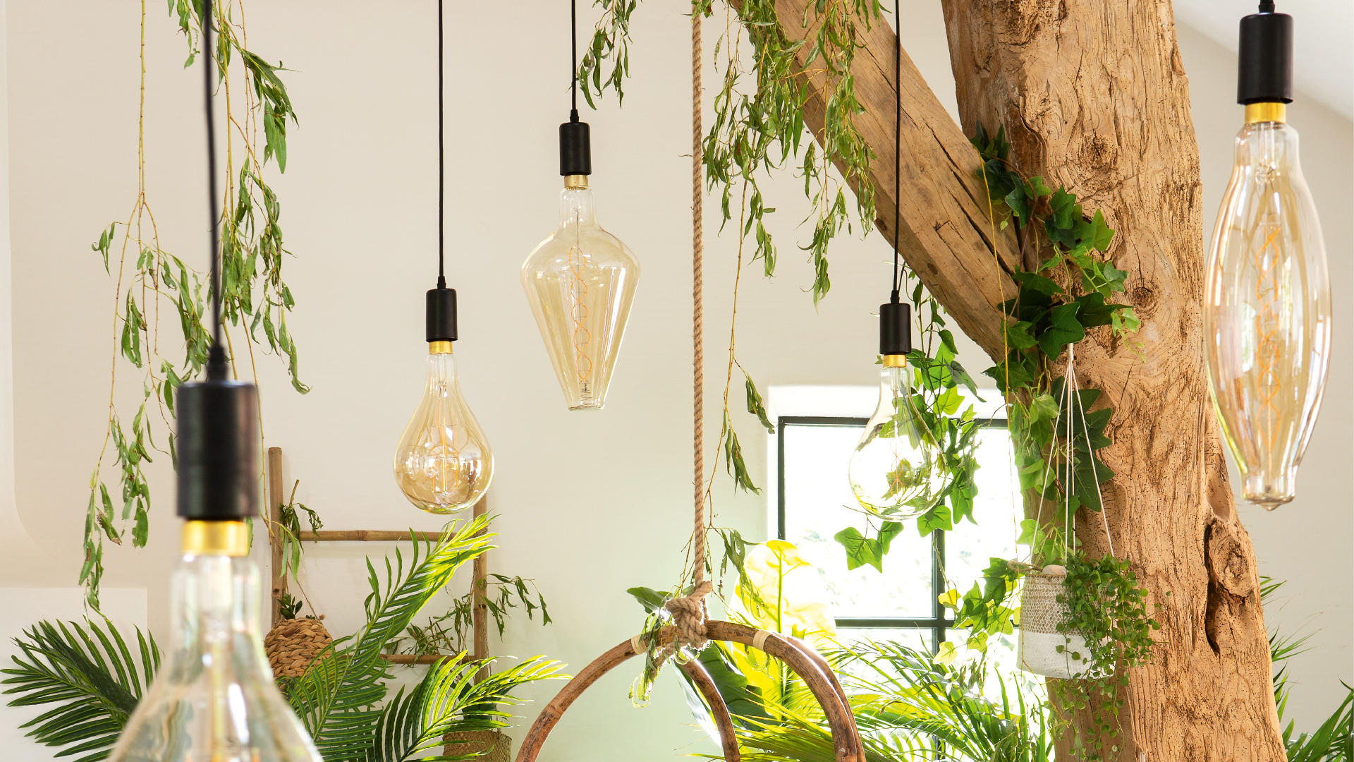 /on/demandware.static/-/Sites-homa-storefront-pt/default/dwf785b2af/iluminação-Lâmpadas e extensões_20240124 textos SEO páginas categorias.jpg